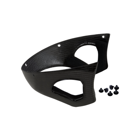 Voronoï Carbon Tempelschutz